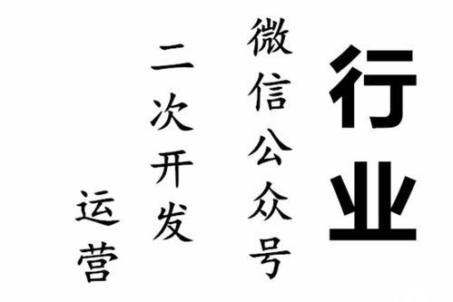 微信公眾號開發(fā)運營與電子商務平臺開發(fā)運營的綜合指南
